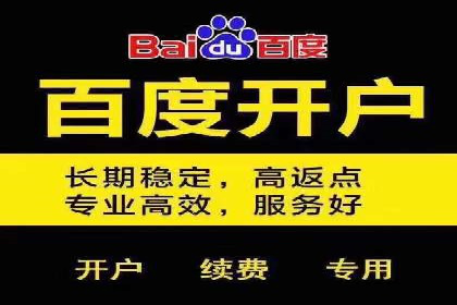 某电商平台的SEM专员营销策略