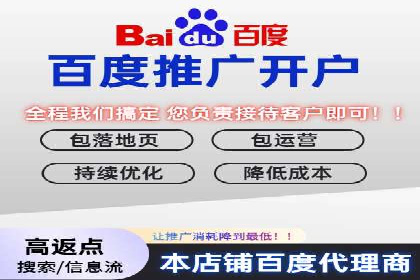 谷歌竞价广告在电商行业的运用案例
